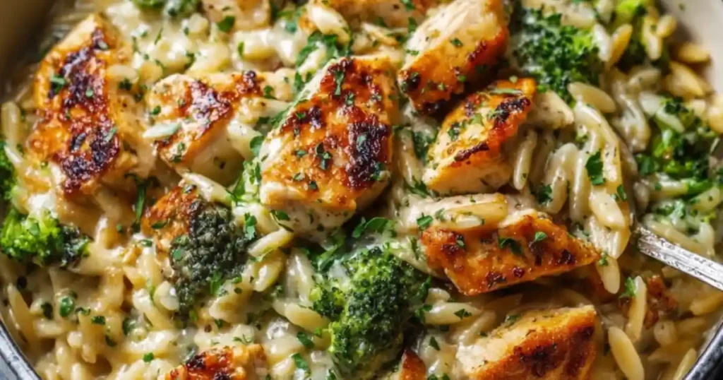creamy one-pot chicken and broccoli orzo pasta