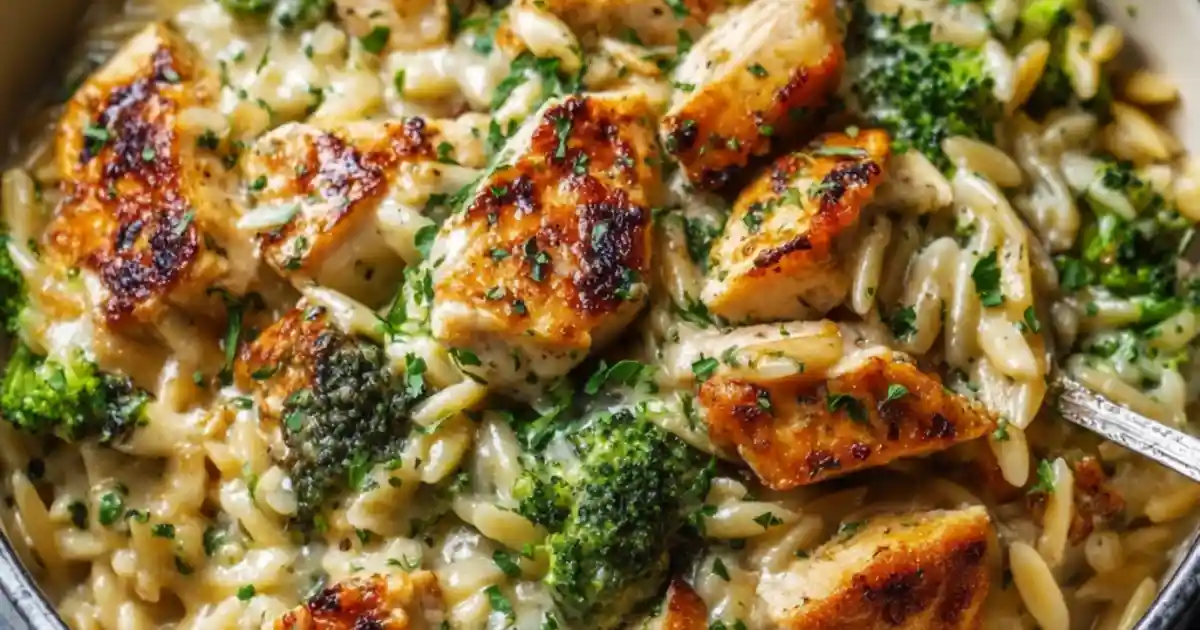 creamy one-pot chicken and broccoli orzo pasta