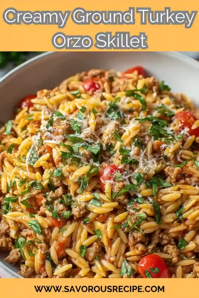 Bowl of creamy ground turkey orzo pasta with cherry tomatoes, parmesan, and fresh parsley
