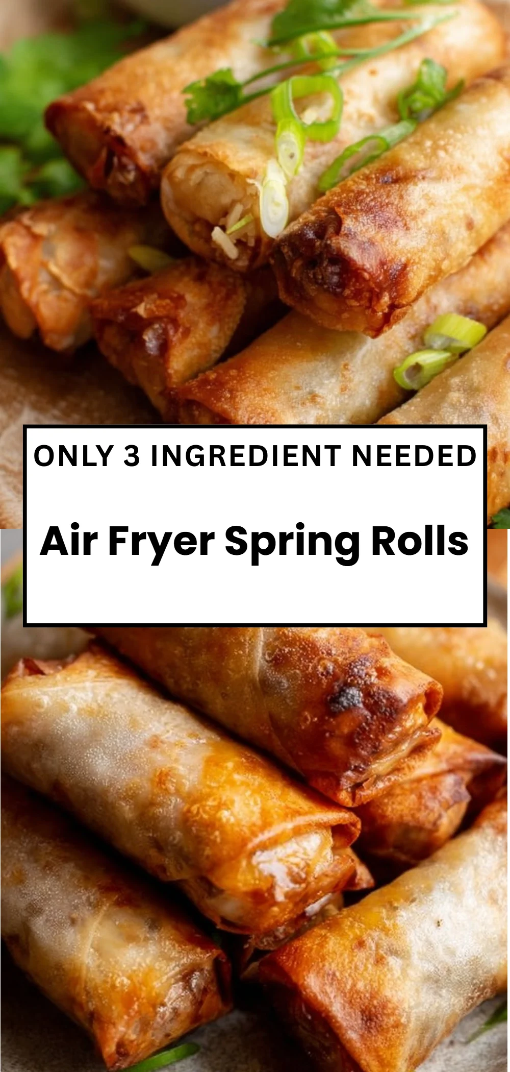Air Fryer Spring Rolls