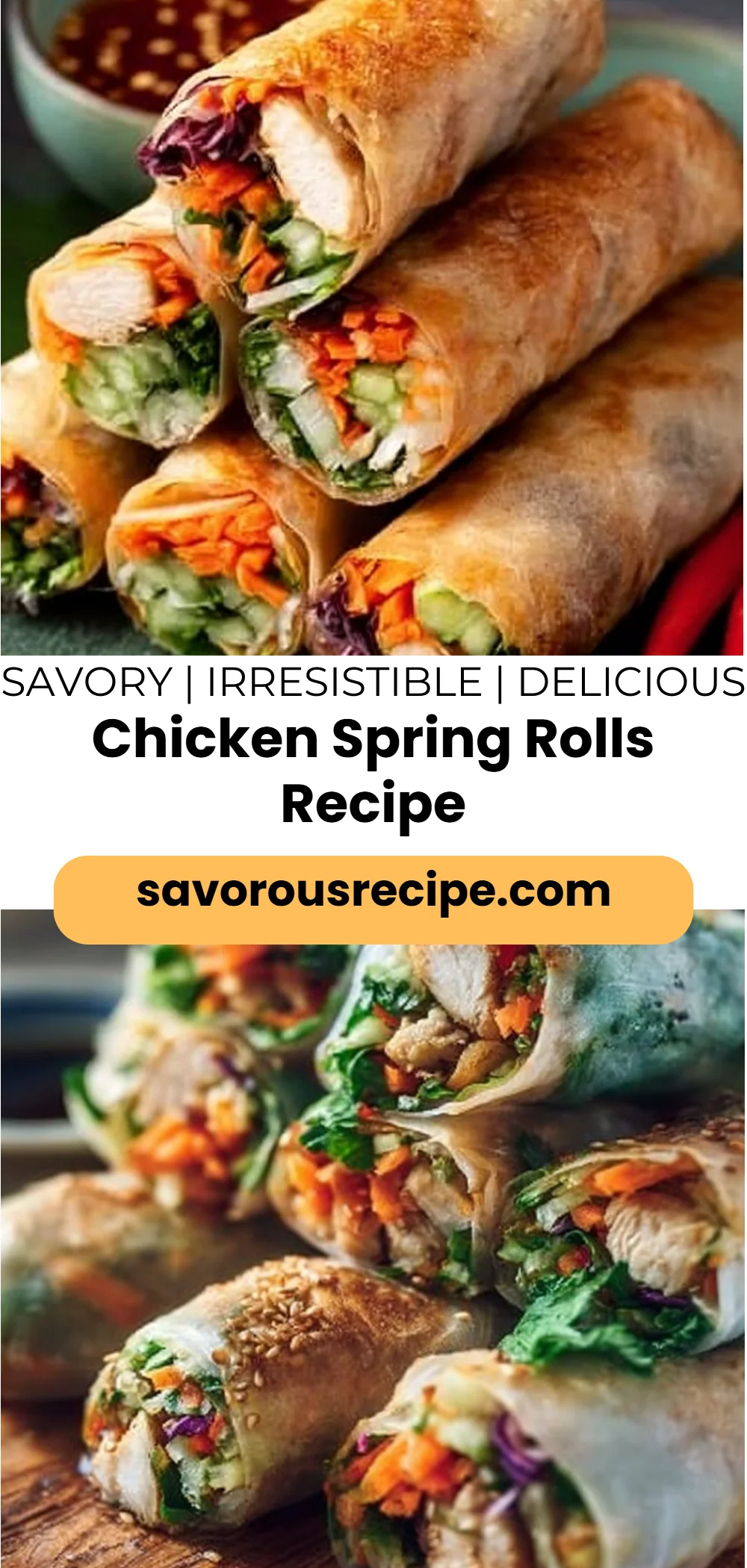 Chicken Spring Rolls Recipe