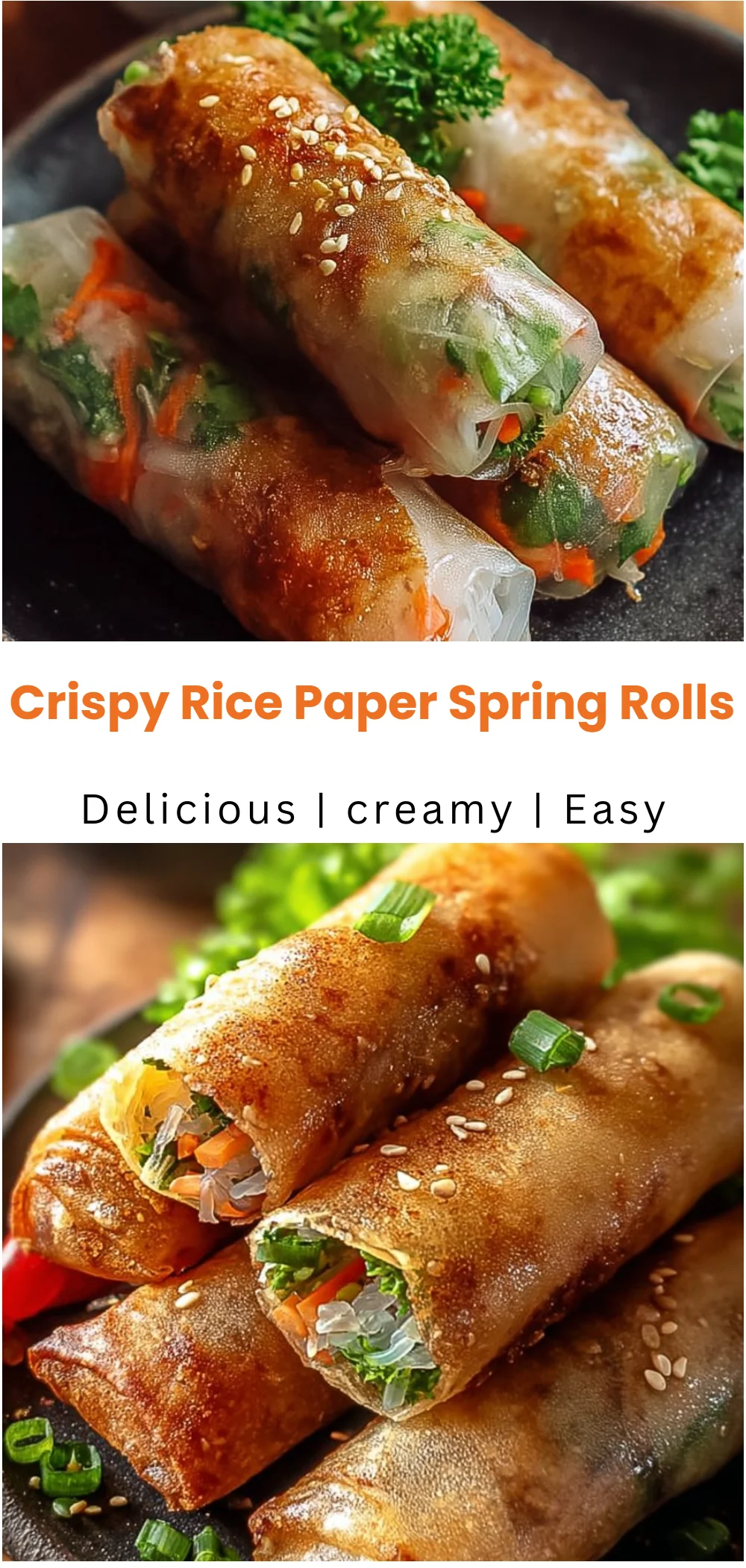 Crispy Rice Paper Spring Rolls