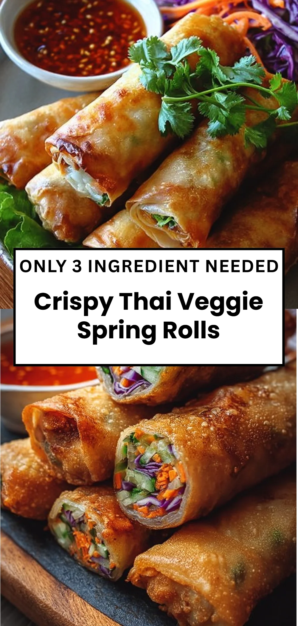 Crispy Thai Veggie Spring Rolls