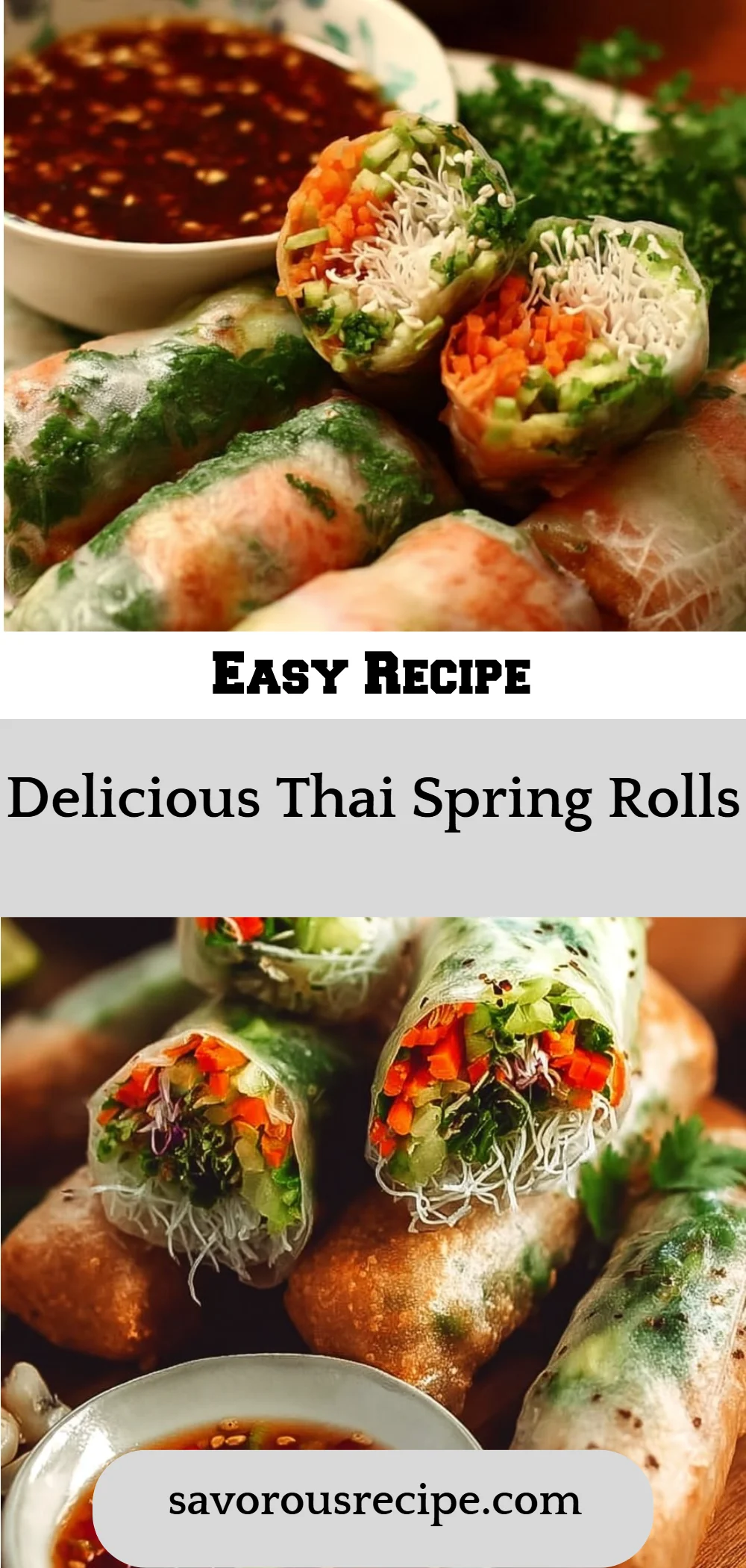 Delicious Thai Spring Rolls