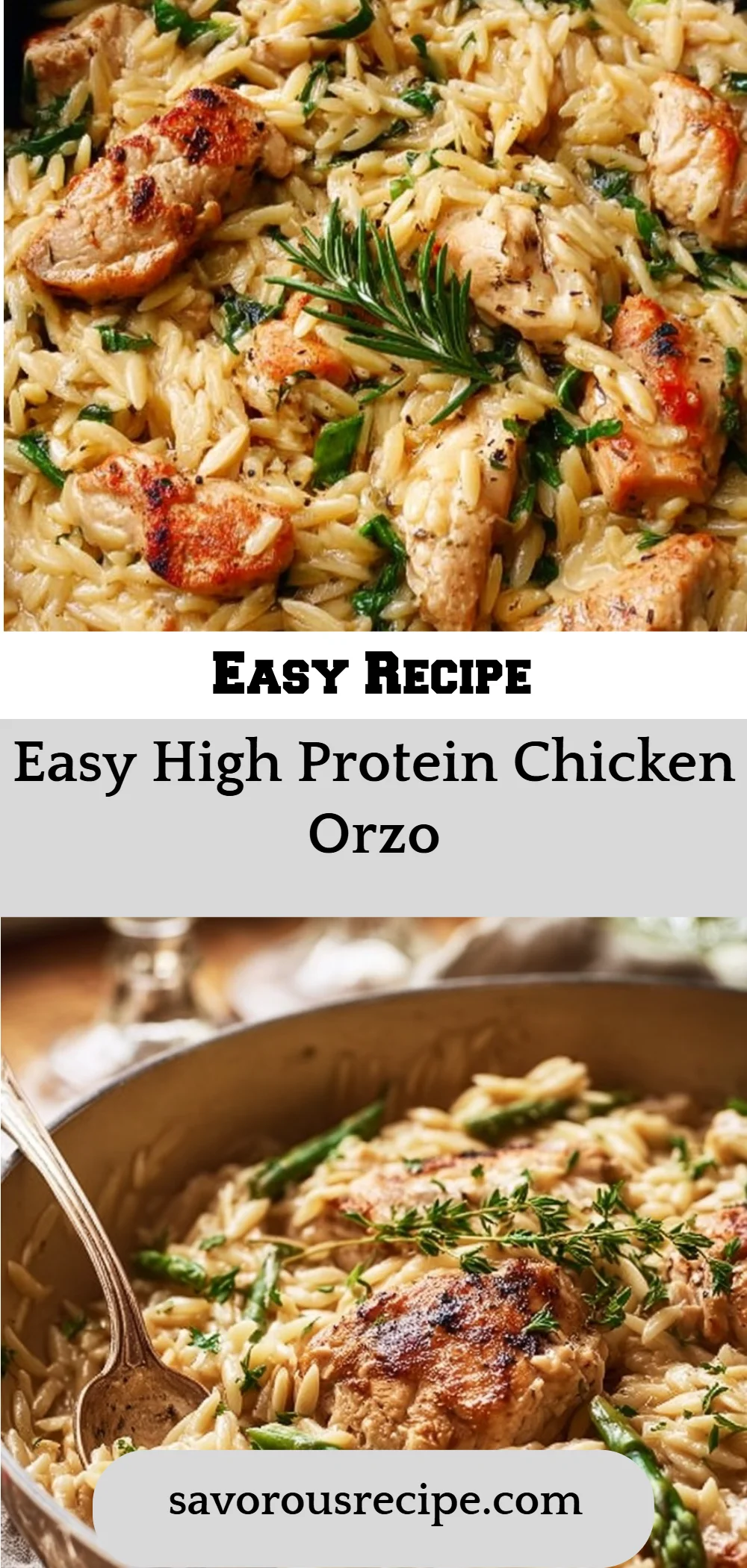 Easy High Protein Chicken Orzo
